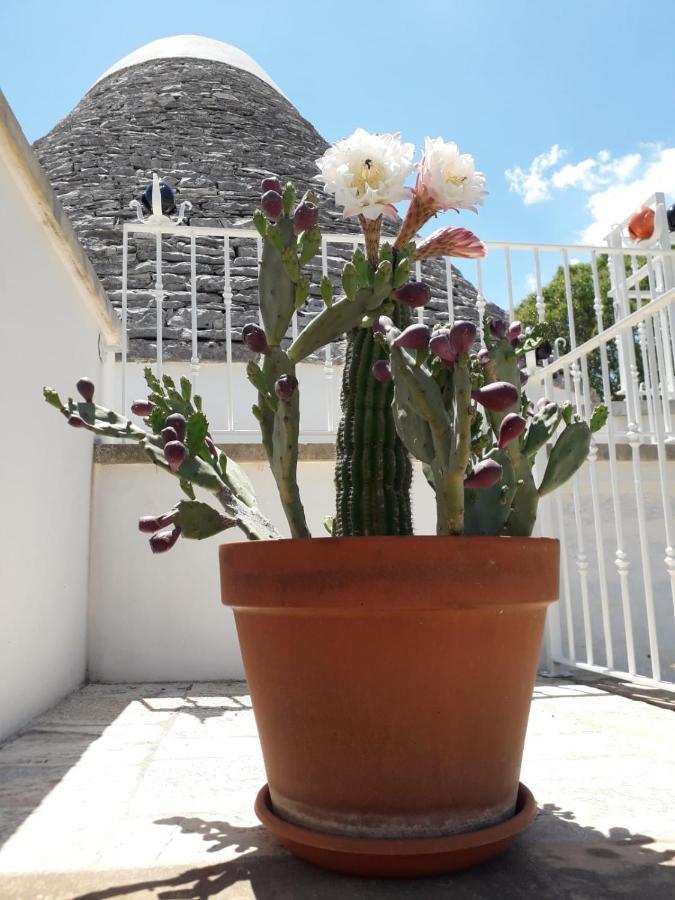 B&B Masseria Nuove Caselle Villa Castelli エクステリア 写真