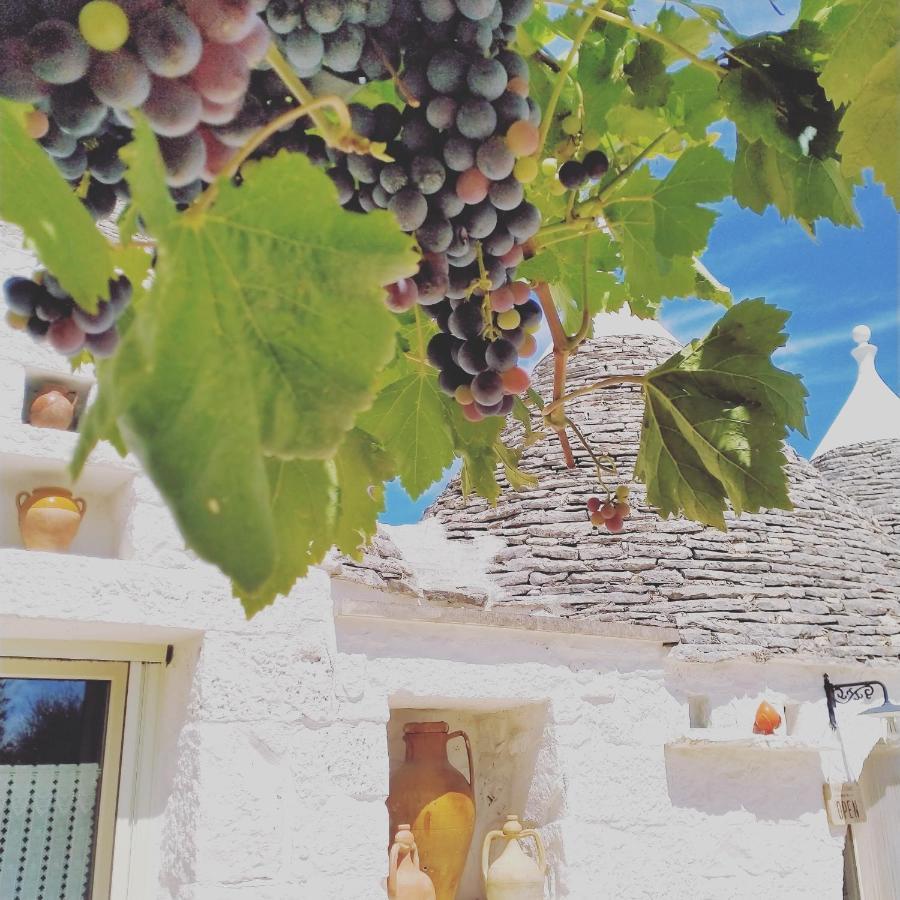 B&B Masseria Nuove Caselle Villa Castelli エクステリア 写真