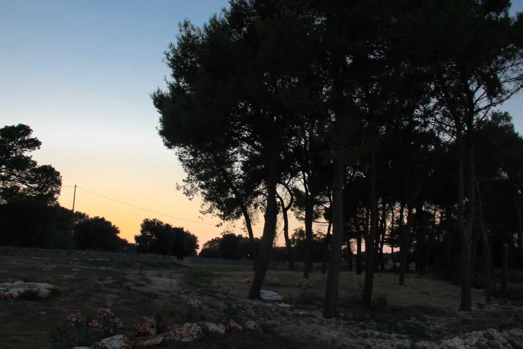 B&B Masseria Nuove Caselle Villa Castelli エクステリア 写真